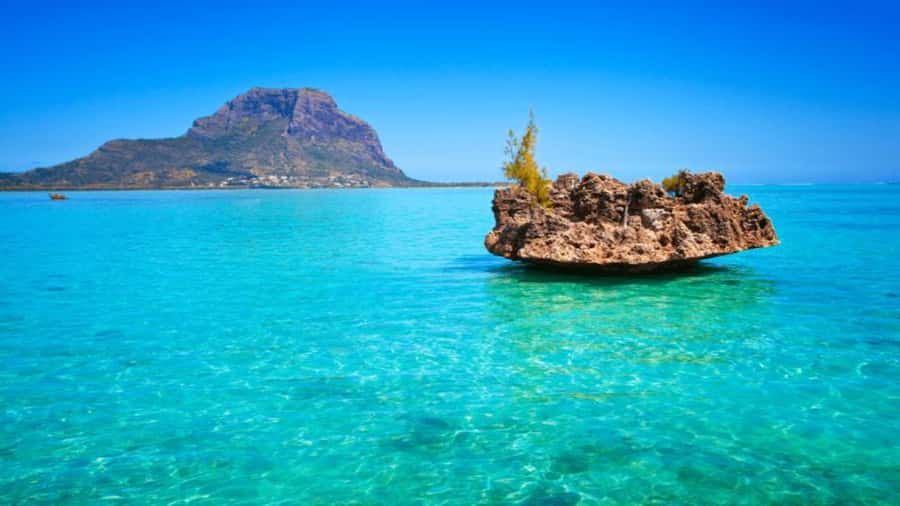 Discover Mauritius: Dolphin Watch, Snorkeling, BBQ Lunch - Key points before you book