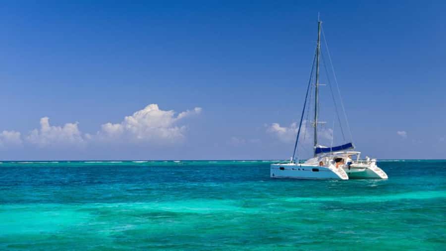 Discover Mauritius: Dolphin Watch, Snorkeling, BBQ Lunch - A full day built around Black River