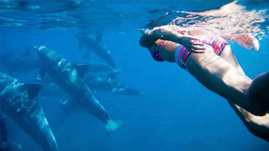 Discover Mauritius: Dolphin Watch, Snorkeling, BBQ Lunch - Setting out on the catamaran