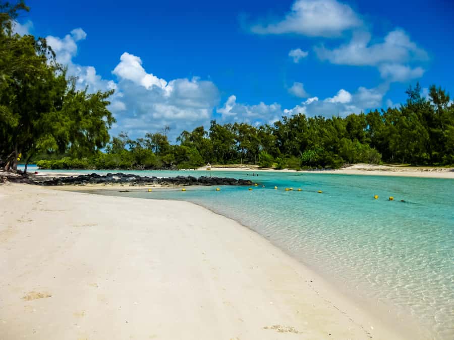 Discover Mauritius Full Day with Your Personal Driver-Guide - Black River Gorges adds a wilder side of the island