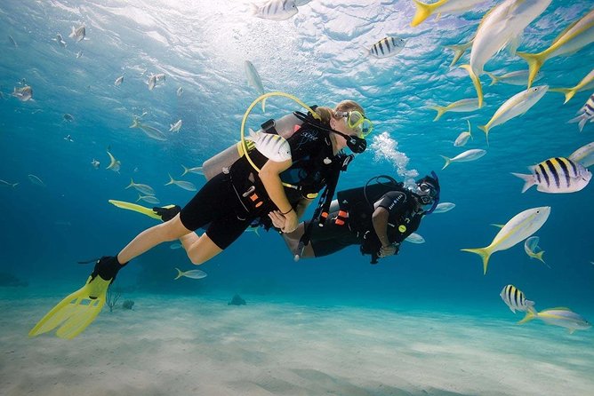 Discover Scuba Diving Experience - Pool or lagoon practice before the open water