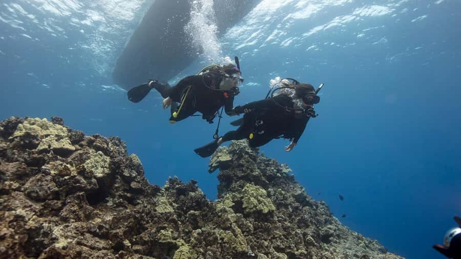 DISCOVER SCUBA DIVING IN LEMORNE with EasydiveMauritius - Key points to know before booking