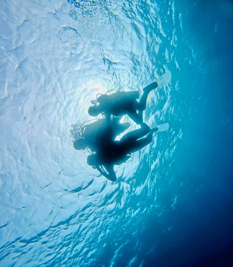 DISCOVER SCUBA DIVING IN LEMORNE with EasydiveMauritius - Who will get the most from this two-hour format
