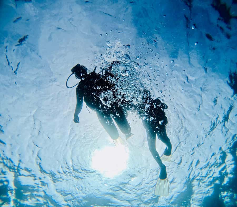 DISCOVER SCUBA DIVING IN LEMORNE with EasydiveMauritius - Is $159 good value?