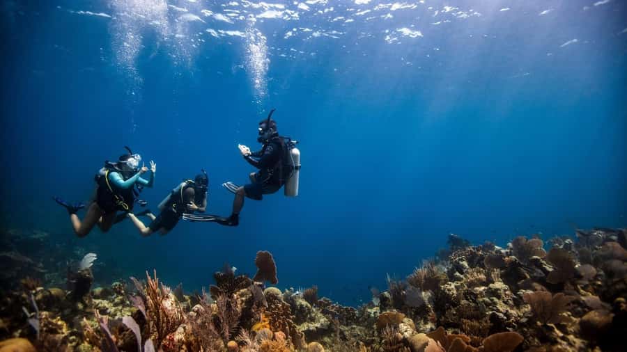 DISCOVER SCUBA DIVING IN LEMORNE with EasydiveMauritius - The first breaths in the pool