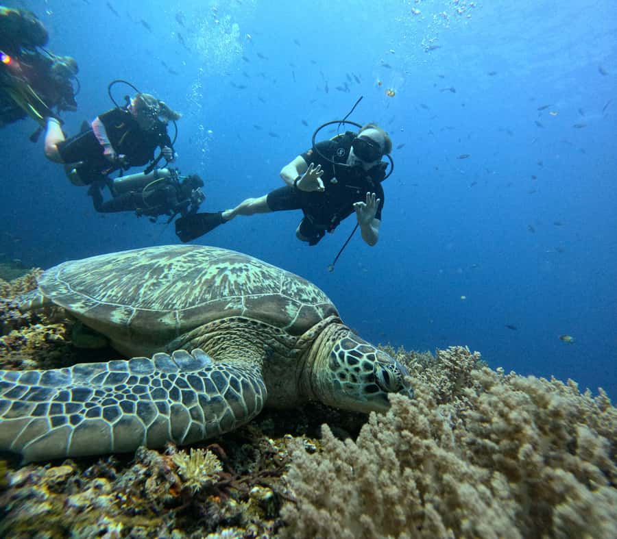 Discover Scuba Diving in the North of Mauritius - Meeting Dreamchasers at Mont Choisy