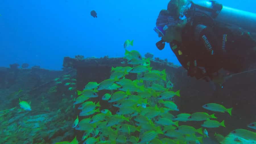 Discover Scuba Diving in the North of Mauritius - Practical details that affect your day