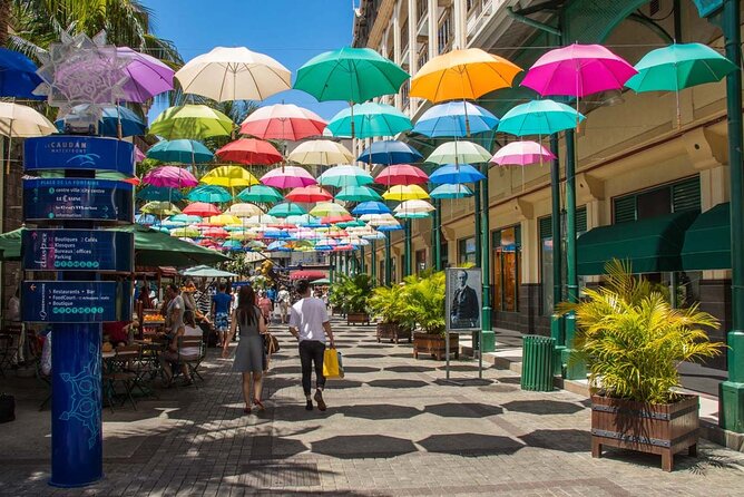Discovering the North of Mauritius: Full-day incl Botanical garden & lunch - Blue Penny Museum and Mauritius on paper