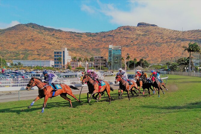 Discovering the North of Mauritius: Full-day incl Botanical garden & lunch - Port Louis Central Market and local tastes