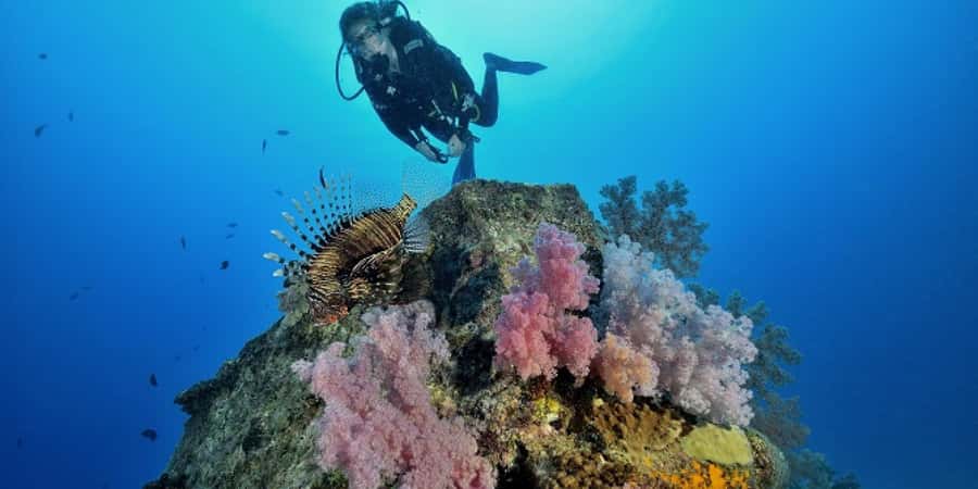 Diving in the North with Blue World Adventures - What the two-hour session is really like