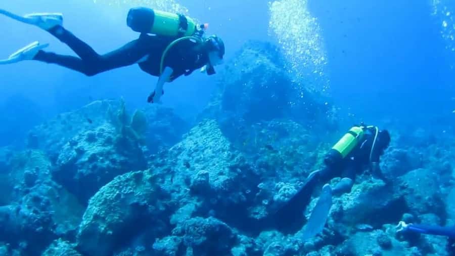 Diving in the North with Blue World Adventures - What the $159 price includes
