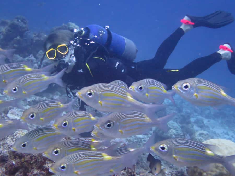 Diving in the North with Blue World Adventures - Who will get the most from this activity