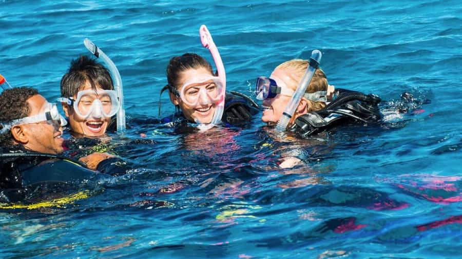 Diving in the North with Blue World Adventures - From shallow water to the northern coast