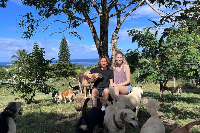 Dog Lover's guided tour of the Happy Tails Sanctuary - Meeting 130 rescued dogs in Baie du Cap