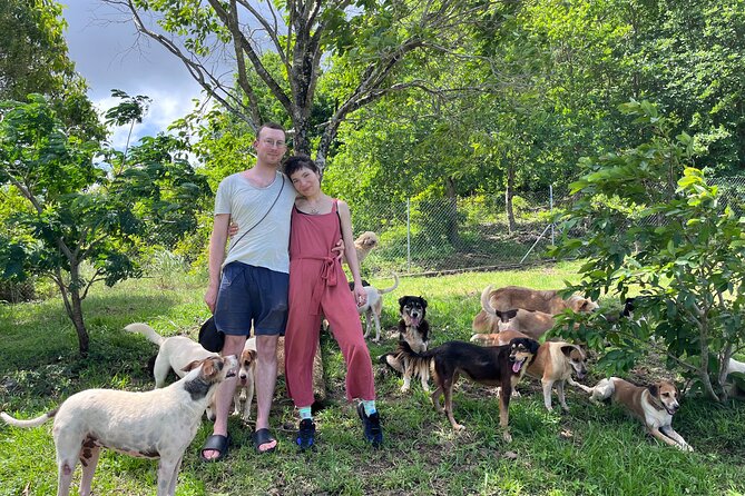 Dog Lover's guided tour of the Happy Tails Sanctuary - Why the small group size makes a difference