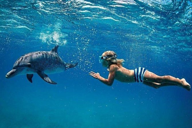 Dolphin Encounters, Ile aux Benitier & Crystal rock: Full-Day (Lunch & Transfer) - A full day from Mauritius hotels to the west coast