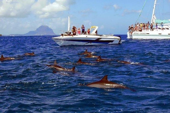 Dolphin Encounters, Ile aux Benitier & Crystal rock: Full-Day (Lunch & Transfer) - Ile aux Benitiers: barbecue, beach, and a long pause