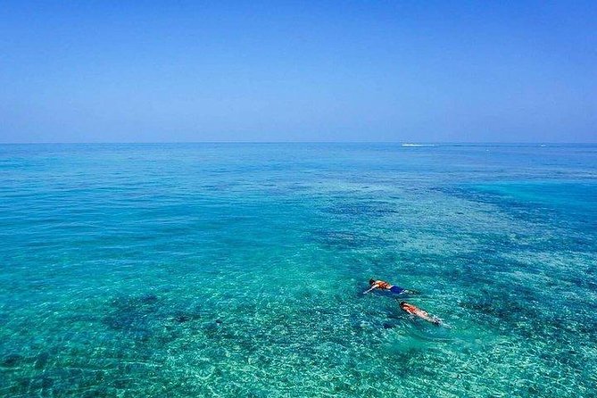 Dolphin Encounters, Ile aux Benitier & Crystal rock: Full-Day (Lunch & Transfer) - Who will enjoy this boat day most