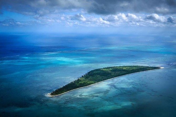 Dolphin Encounters, Ile aux Benitier & Crystal rock: Full-Day (Lunch & Transfer) - The dolphin encounter: exciting, but not controlled