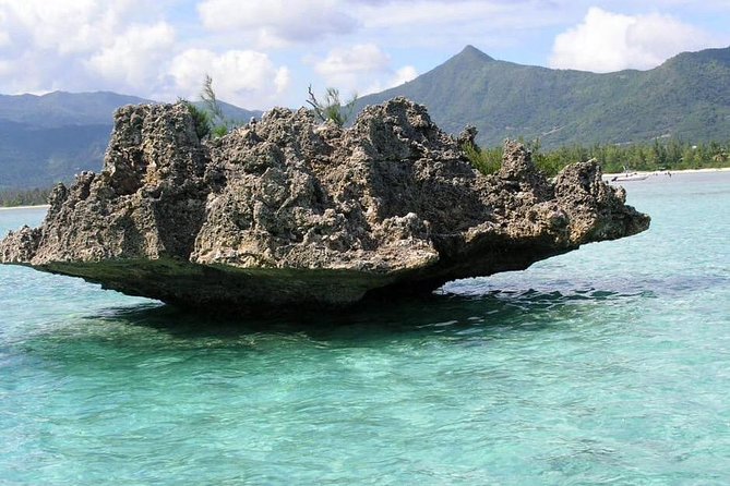 Dolphin Experience in Open Sea and South West Tour of Mauritius including Lunch - A morning boat ride with dolphins