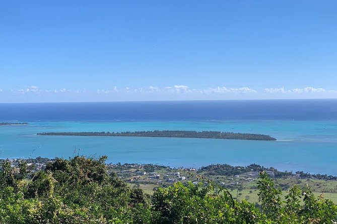 Dolphin Experience in Open Sea and South West Tour of Mauritius including Lunch - Is $154.71 good value?
