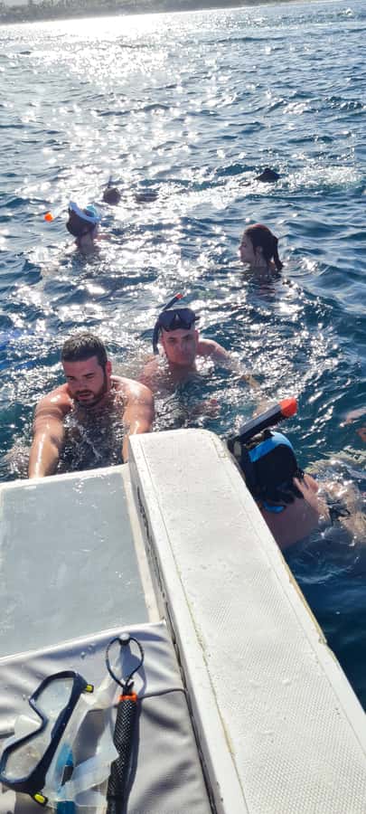 Dolphins: Private, Snorkel, CrystalRock, ileoBenitiers,lunch - Key points to know before booking