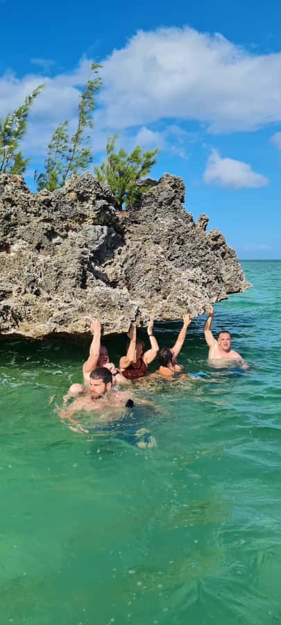 Dolphins: Private, Snorkel, CrystalRock, ileoBenitiers,lunch - Snorkeling at a natural aquarium