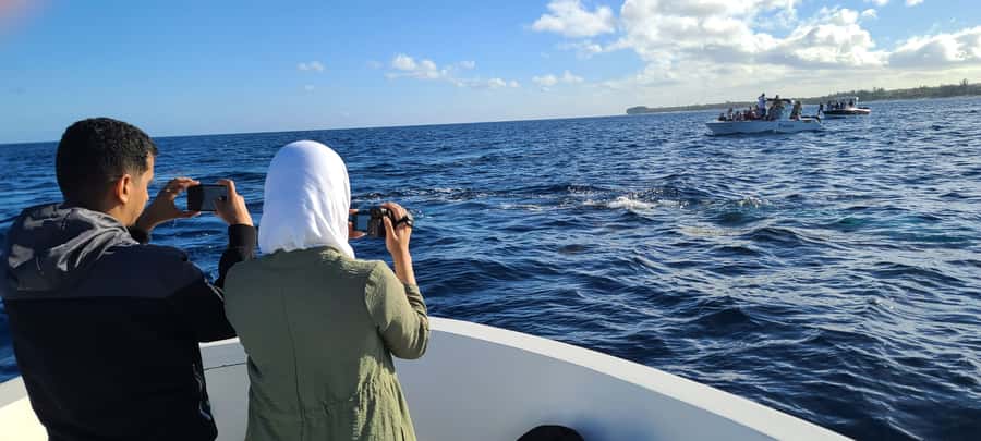 Dolphins & Whales, Private Tour Snorkeling - Mountain views from the water