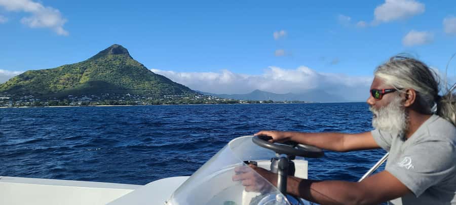 Dolphins & Whales, Private Tour Snorkeling - Who will enjoy this trip most