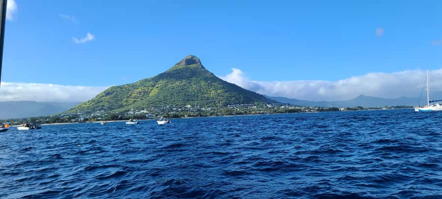 Dolphins & Whales, Private Tour Snorkeling - My call: book it if the sea matters as much as the animals