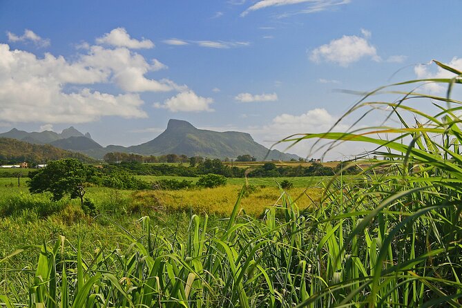 East of Mauritius: Full Day Scenic Tour with Lunch & Glass Bottom - Local lunch instead of resort food