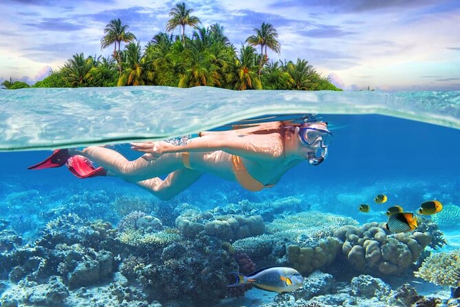 Eastern Treasures of Mauritius: incl Rhumerie St Aubin & Blue-Bay Marine Park - Lunch with halal and vegetarian choices