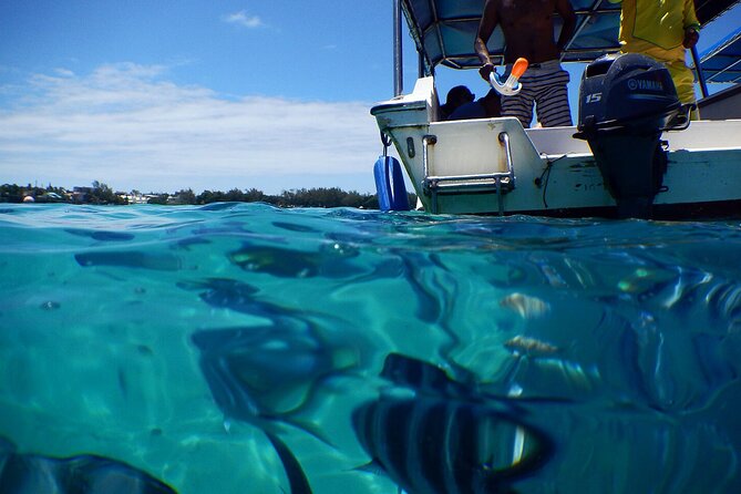 Eastern Treasures of Mauritius: incl Rhumerie St Aubin & Blue-Bay Marine Park - Mahebourg Museum and the island’s naval past