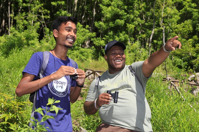 Ebony Forest Reserve Chamarel: Endemic Birdwatching Guided Tour - Starting at 9:00 a.m. with the museum and aviaries