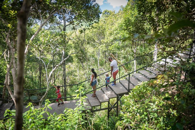 Ebony Forest Reserve Chamarel: Sublime Sundowner - What the private guide changes