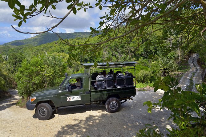 Ebony Forest Reserve Chamarel - Take a Hike Tour - Add Piton Canot if you want a harder walk