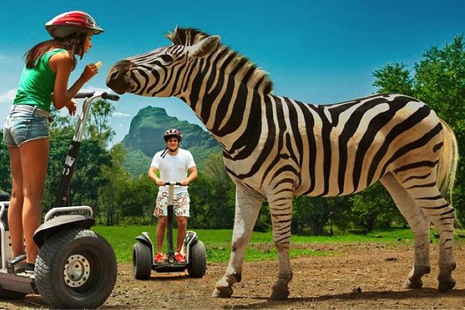 Enchanting South of Mauritius: Full-day tour Incl CASELA Park, Lunch & Transfer - Passing through La Marie and sitting down to lunch