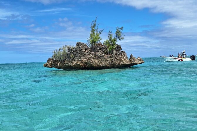 Exciting Dolphin encounters in the Maurtius's lagoon - Snorkeling at the reef after the dolphins