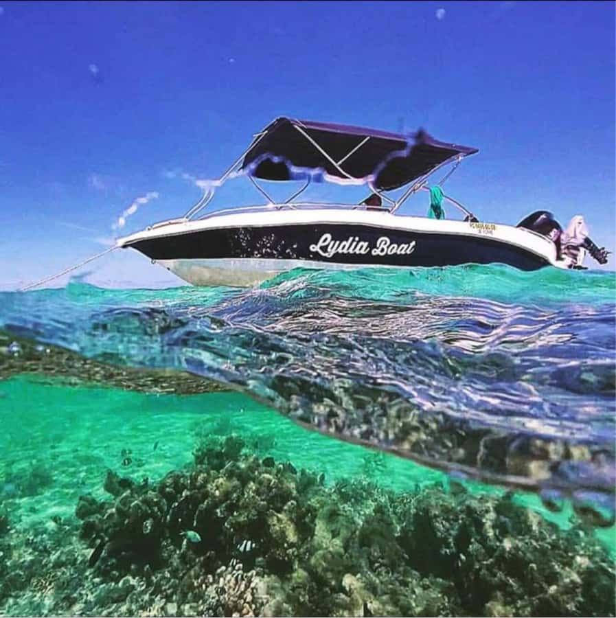 Exclusive:full-day/Dolphins watch& swimming Crystal Rock+Bbq - A seafood lunch on Bénitiers Island