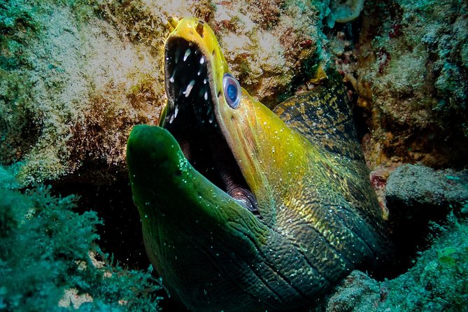Exploration dives for experienced divers - A safety-first team with a relaxed tone