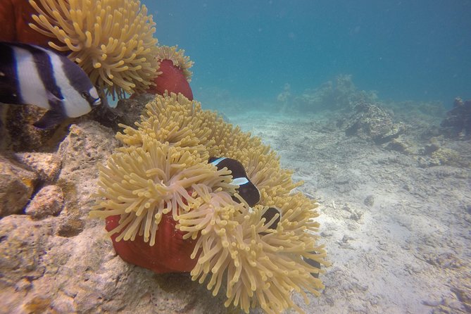 Exploration dives - A small group, but not a private charter