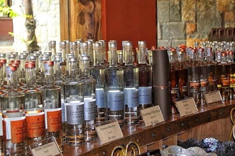 Explore the Southwest with Local Lunch & Rum Tasting - Key points at a glance