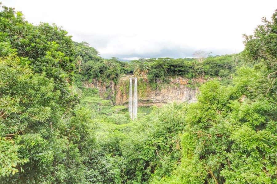 Explore the Southwest with Local Lunch & Rum Tasting - Grand Bassin and the Hindu heart of the island