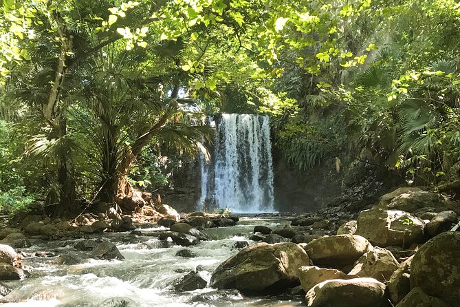 Explore The Wild South - A guided walk with some real effort
