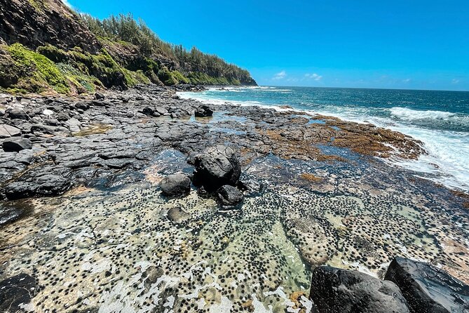 Explore The Wild South - Who will enjoy this most