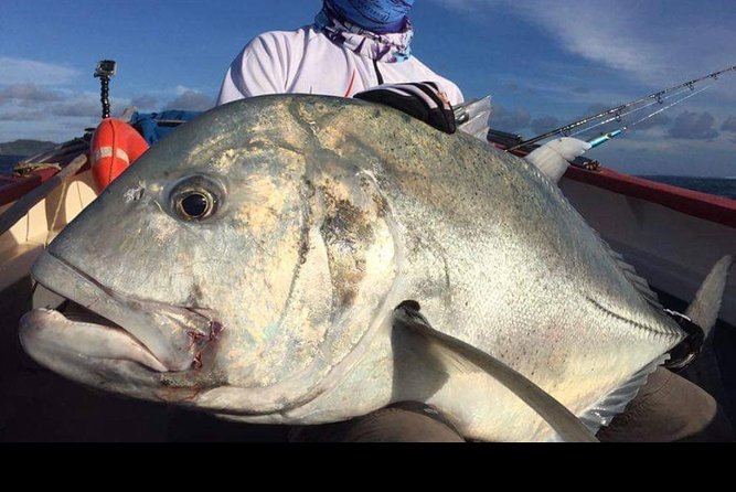 Fishing Trips. Popping, jigging, big game, live bait - Key points for planning your Rodrigues fishing day