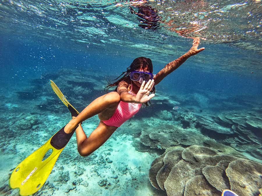 From Blue Bay: Ile aux Cerfs Speedboat Excursion with BBQ - A full day on Mauritius’ southeast coast