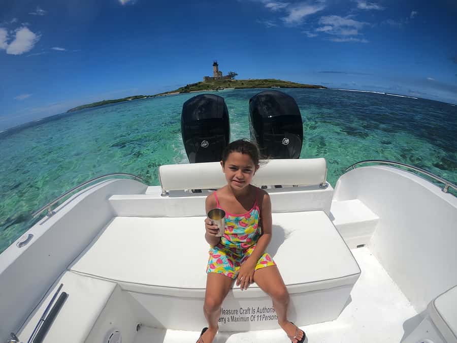 From Blue Bay: Ile aux Cerfs Speedboat Excursion with BBQ - A second swim near Ile aux Aigrettes