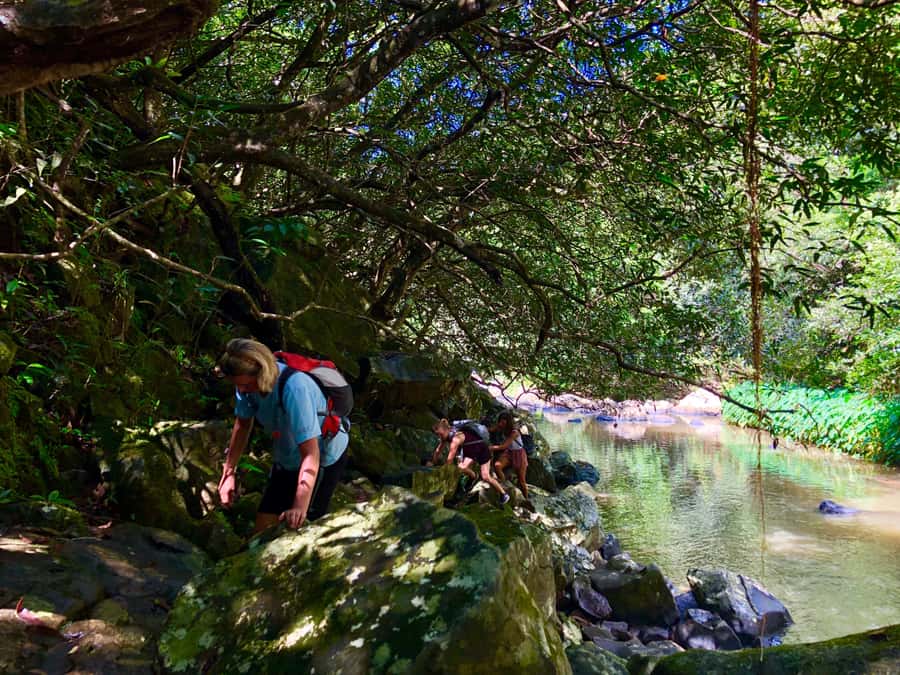 From Chamarel: Waterfall Eco-Hike Adventure - What the $82 price includes