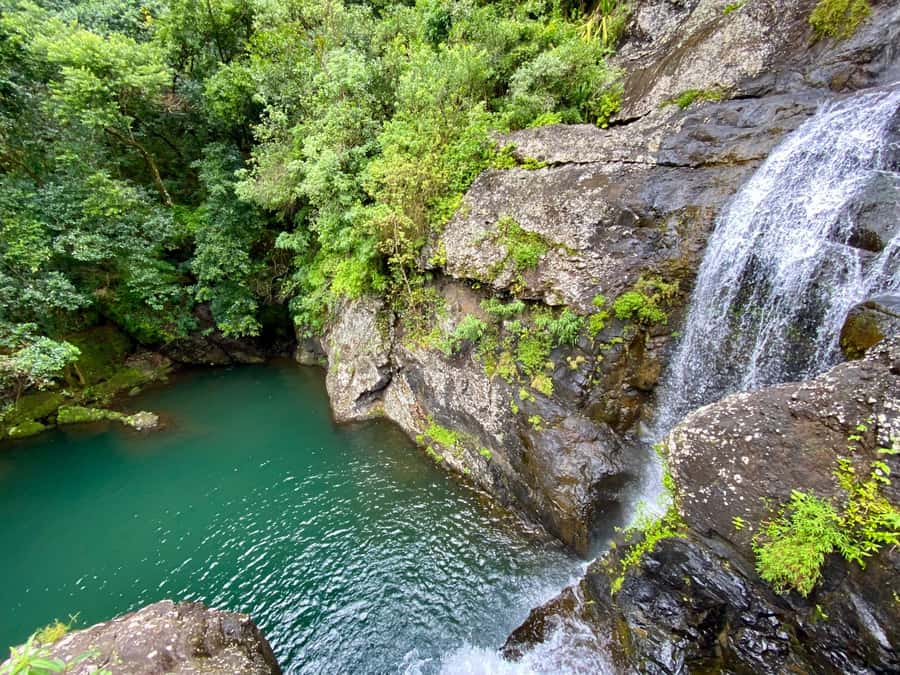 From Quatre Cocos: Tamarind Falls Hiking Day Trip - Hiking beside the Rivière Tamarin